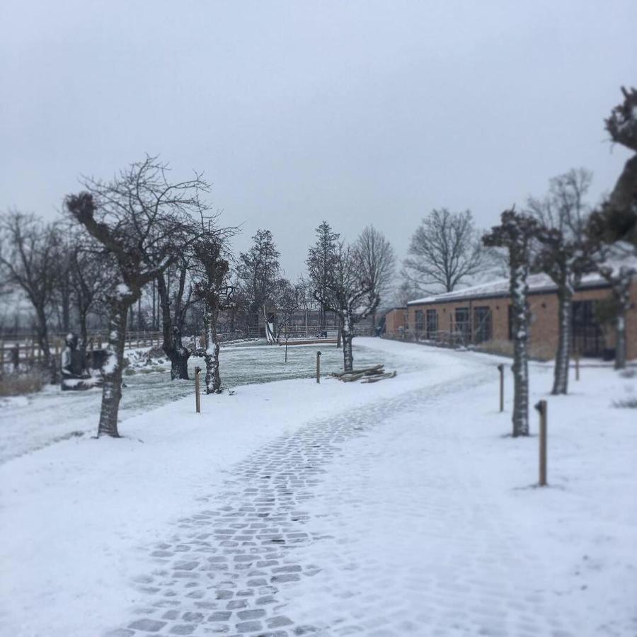 De Worfthoeve Geel Exterior foto